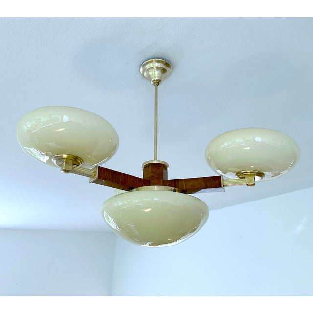 Modern Vintage Art Deco Pendant Light in Wood and Glass, 1930s For Sale - Image 3 of 18