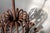 Antique Candle Chandelier, 1890s For Sale - Image 16 of 18