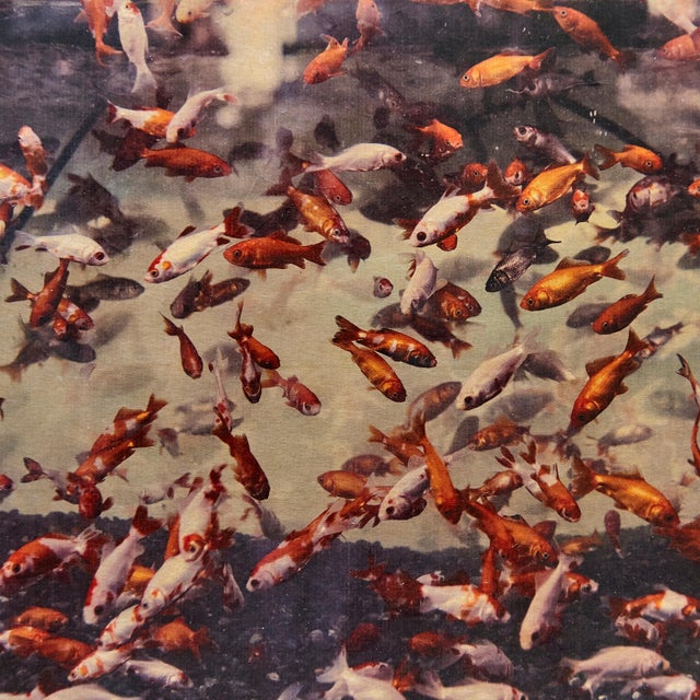 Mouth of Krishna 128 Print by Albarran & Cabrera, 2013 For Sale - Image 9 of 10