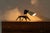 A rare and playful dog lamp designed by Jean-Boris Lacroix and manufactured by Disderot in France in 1950. This whimsical...