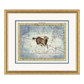 Aries Framed Art Print by David Phoenix For Sale