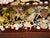 1900-1909 Great Seaworld Sea Shells Specimens Collection in Chinese Chinoiserie Rosewood Carved Vitrine For Sale - Image 14 of 14