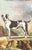 This charming hand-colored 1758 engraving is one of the oldest available prints of a dog. Taken from the 10th volume...