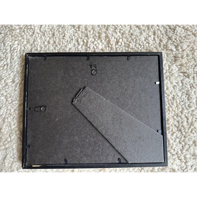 Biedermeier Artist, The Gentle Cat, 1831, Lithograph, Framed For Sale - Image 12 of 18