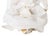 Antique Porcelain Doll by Heinrich Handwerck For Sale - Image 6 of 8