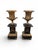 Elegant pair of 19th-century decorative vases crafted in gilt and patinated bronze, reflecting the refined craftsmanship...