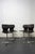 1970s Pagholz Chairs by Adam Stegner for Flötotto, 1970s, Set of 4 For Sale - Image 5 of 11