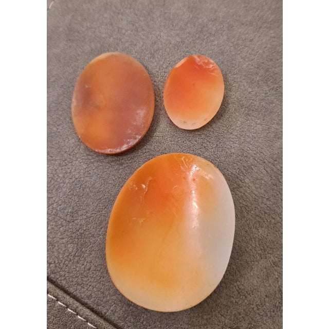 Victorian Group of 3 High Relief Cameos Carved From Bullmouth Shell For Sale - Image 3 of 5