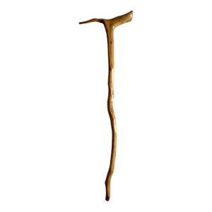Natural Wooden Walking Stick, Rustic Hiking Staff/ Cane Twisted, T Handle 36”