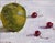 Apples and Cherries by Clyde Steadman | Oil Painting of an apple and cherries on a surface For Sale