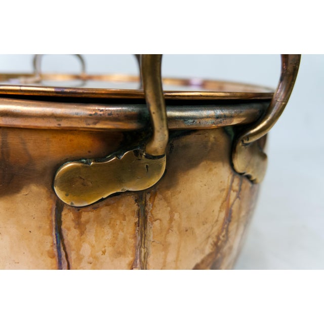 Early 20th Century Copper Fish Poacher Chairish