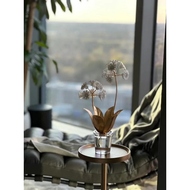 2020s Auricula For Sale - Image 5 of 5