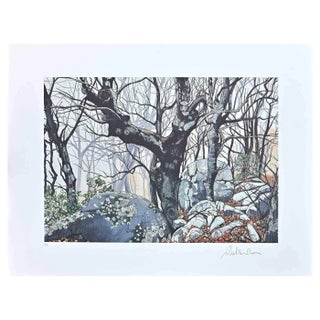 Rolandi (Maurizio Coccia), In The Forest, Screen Print, 1970s For Sale