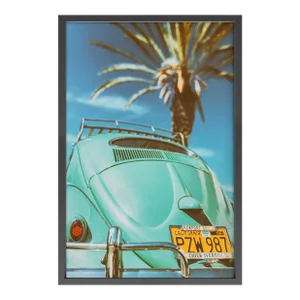California Beetle by Jens Ochlich Print with Black Frame - 32 X 48
