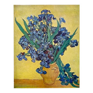Vincent Van Gogh Vintage 1947 Limited Edition French Fine Art Lithograph Print " Nature Morte : Iris " 1890