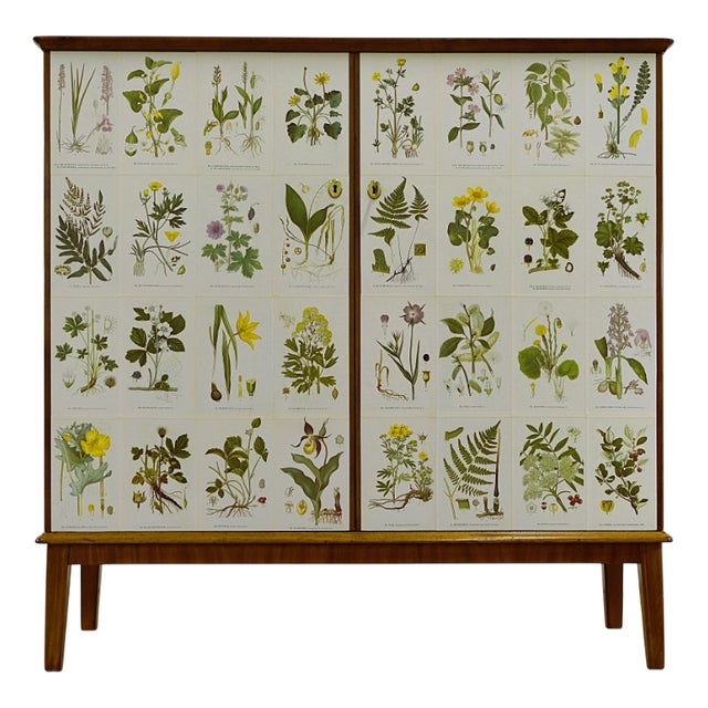 Swedish Modern Flora Cabinet with Illustrations by C.A.M Lindman, 1940s For Sale