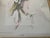 Traditional 1900s Framed Harrison Fisher Lithograph “A Sketch” For Sale - Image 3 of 7
