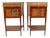 Antique French Walnut and Tulipwood Bedside Cabinets, 1900s, Set of 2 For Sale
