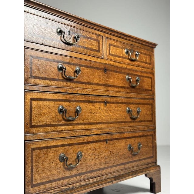 Brown English Chest of Drawers in Oak For Sale - Image 8 of 18