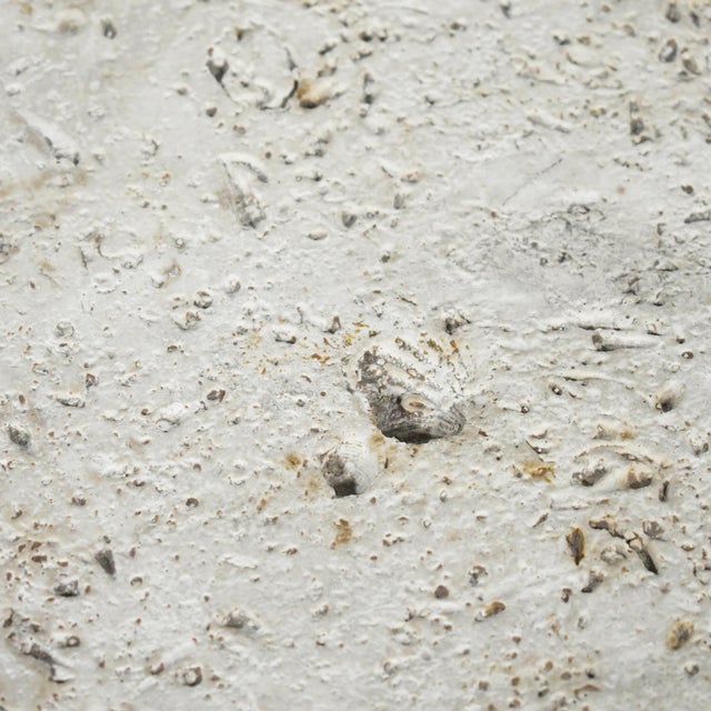 Sculpture Materials Mid 20th Century Faux Fossilized Stone Table For Sale - Image 7 of 9