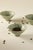 Japanese Ceramic Bowl With Kiln-Transformed Veined Patterns - Set of 2 For Sale In Los Angeles - Image 6 of 6