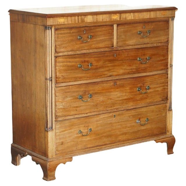 Large Sheraton Revival Chippendale Hardwood Chest of Drawers, 1860s For Sale