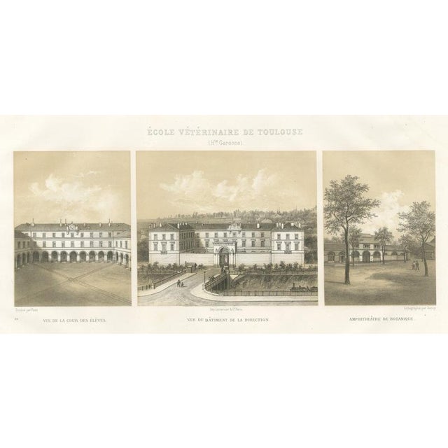 Deroy, Toulouse Veterinary School, Three Views, 1873, Paper For Sale - Image 12 of 12