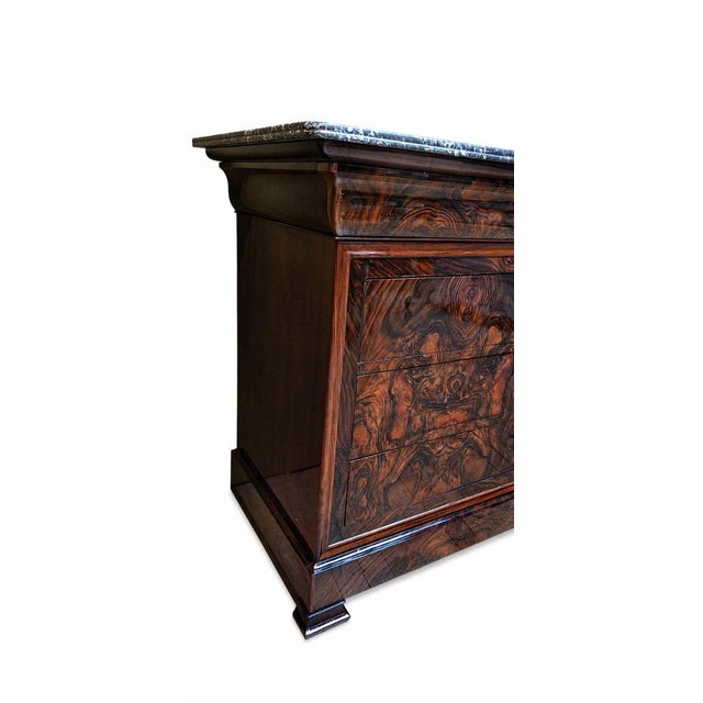 Paint Louis Philippe Chest of Drawers in Burr Walnut, 1840s For Sale - Image 7 of 16