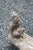 English Mid-20th Century English Cast Stone Elves Teeter-Totter Garden Figure For Sale - Image 3 of 6