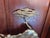 This is a Bijan of California brass Pebble Beach wall art. It’s in great condition.