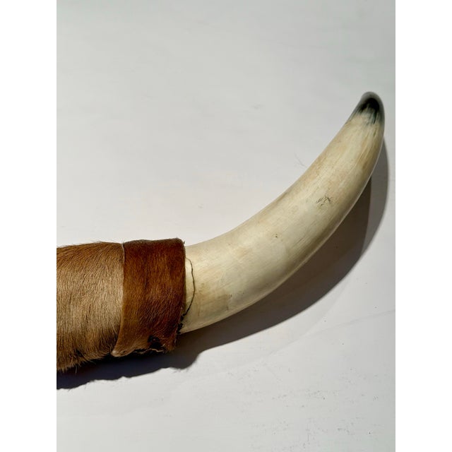 Animal Skin Rustic Vintage Large Hide-Wrapped Steer Horns For Sale - Image 7 of 11