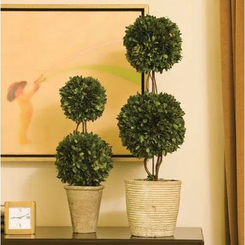 The Boxwood Double Ball Topiary Real English boxwoods, preserved and painstakingly assembled by our masterful artists....