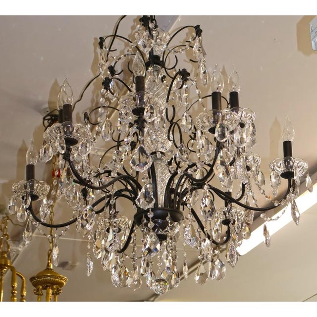 2000 - 2009 Schonbek 17124-76 Century 12 Light Black Frame Crystal Chandelier For Sale - Image 5 of 10