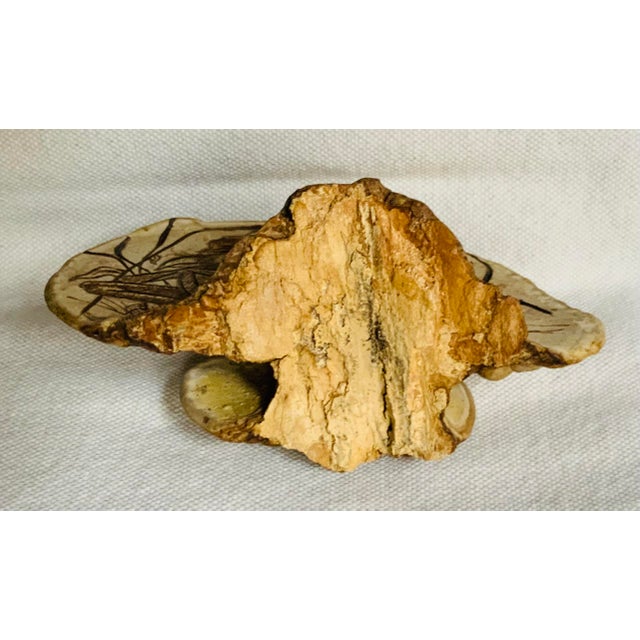 Mid-Century Etched Folk Art Artist's Conk Mushroom For Sale - Image 9 of 17
