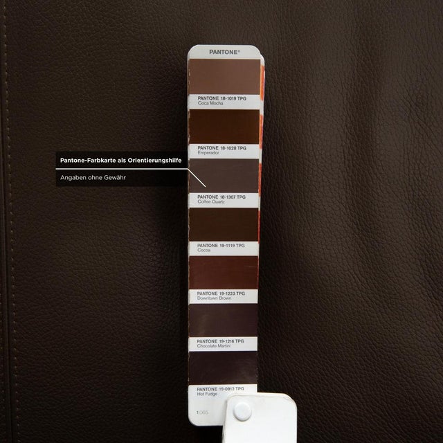 Tango 2-Seater Sofa in Brown Leather from Leolux For Sale - Image 12 of 16