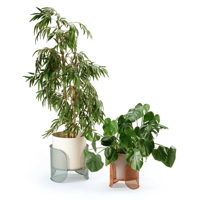 Big Riviera Vase by Mambo Unlimited Ideas, in New conditions. Designed from 2000