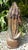 Wood Antique Religious Carved Oak Saint Figure Statue, 1820 For Sale - Image 7 of 18