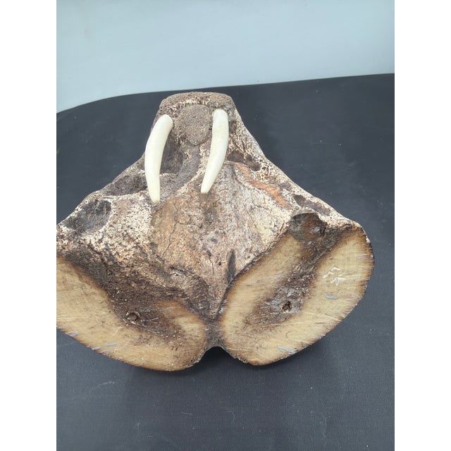 1980s 1980s Inuit or Eskimo Sculpture of a Walrus Made With a Jaw or Some Large Creature. Signed For Sale - Image 5 of 5