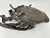 Antique West African Nupe Cast Bronze Ceremonial Purse with Leather Tassels For Sale - Image 14 of 17