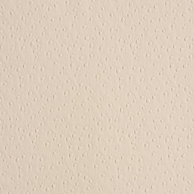 2020s Schumacher Ostrich Vegan Leather Fabric In Cream For Sale - Image 5 of 5