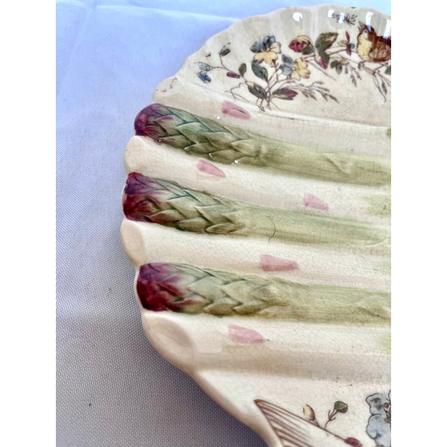 1890s English Majolica Shell Shape Asparagus Plate For Sale - Image 11 of 12