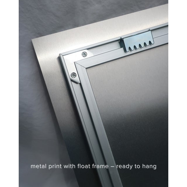 Aquilegia Caerulea by Oscar Calleja – Limited Edition Botanical Photograph on Metal | Framed & Ready to Hang For Sale - Image 4 of 6