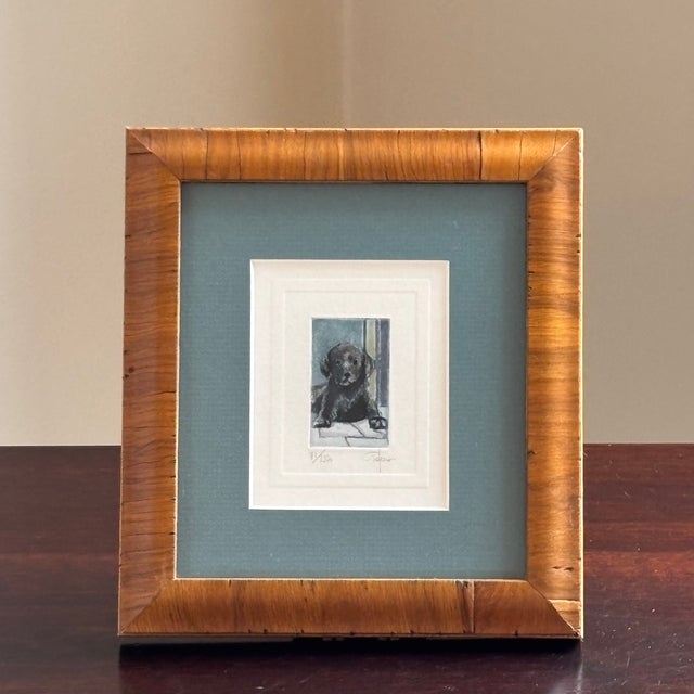 White Italian Watercolor Etching of Labrador Puppy by Giorgio Ferrari (B. 1936) For Sale - Image 8 of 18