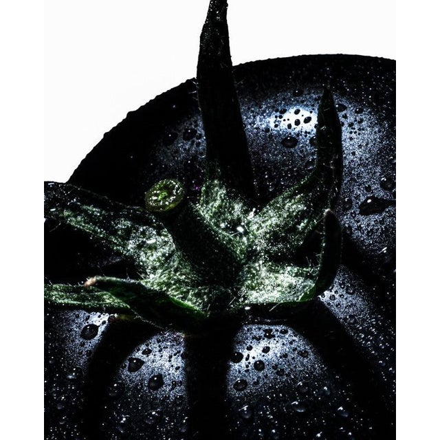 Not Yet Made - Made To Order Black Tomato — Sivan Roshianu, Limited Edition Metal Print (Edition of 5) For Sale - Image 5 of 5