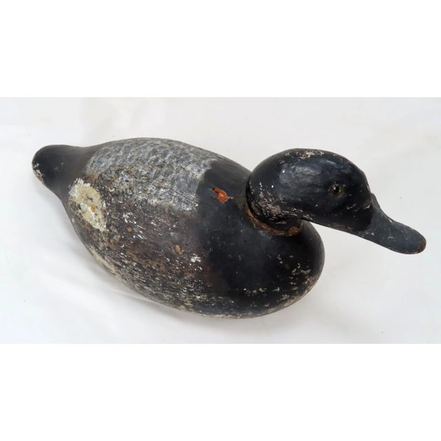 Figurative Antique Hand Carved & Painted Wood Duck Decoy From Maine For Sale - Image 3 of 13