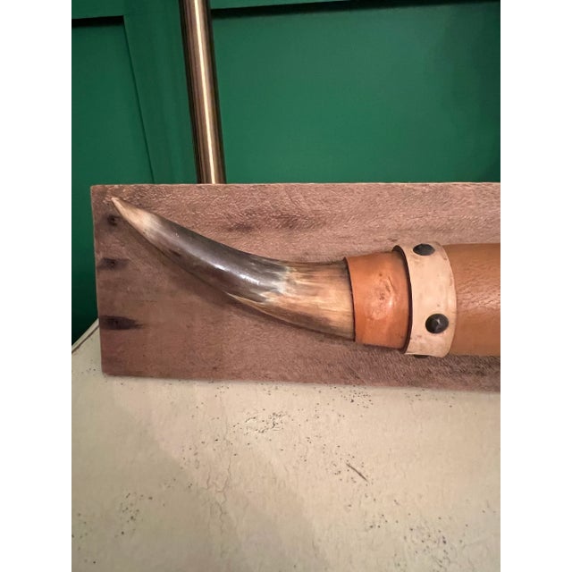 Bone Vintage Mounted Bull Horns For Sale - Image 7 of 12