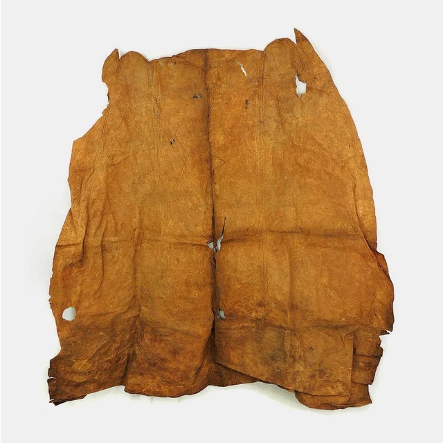 Early 20th Century Early 20th Century Maasai Beaded Leather Cape Olekesana Kenya For Sale - Image 5 of 6