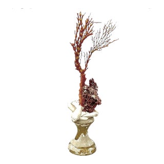 Natural Red Coral Mounted on 18th Century Gilt Wood Fragment For Sale