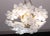 White Murano Style Ceiling Light White Flowers, 1970 For Sale - Image 8 of 12