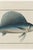 Illustration Atlantic Sailfish, Vintage Fish Art Print Reproduction, 30" X 20" For Sale - Image 3 of 10